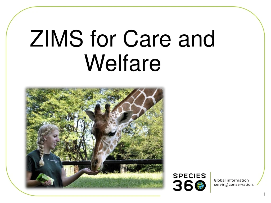 zims for care and welfare