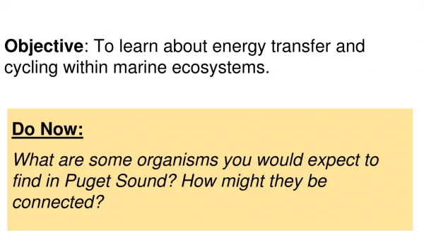 Objective : To learn about energy transfer and cycling within marine ecosystems.
