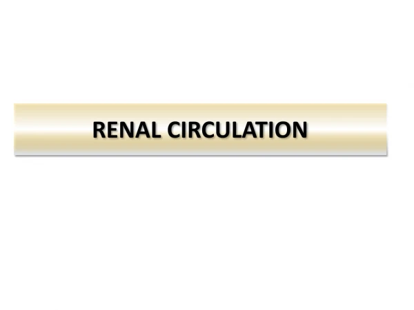 RENAL CIRCULATION