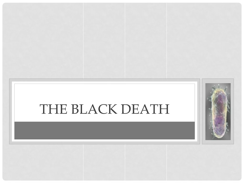 the black death