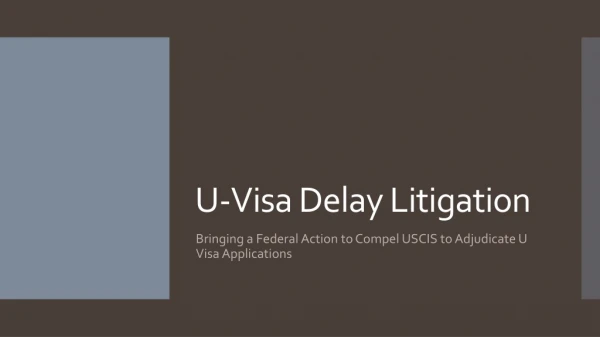 U-Visa Delay Litigation