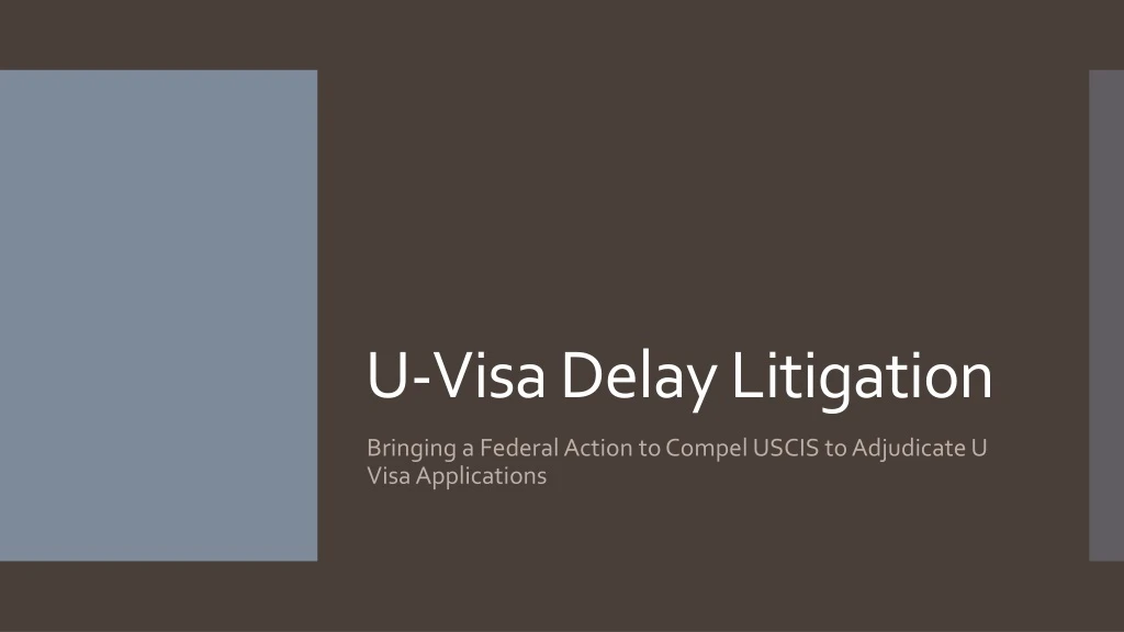 u visa delay litigation