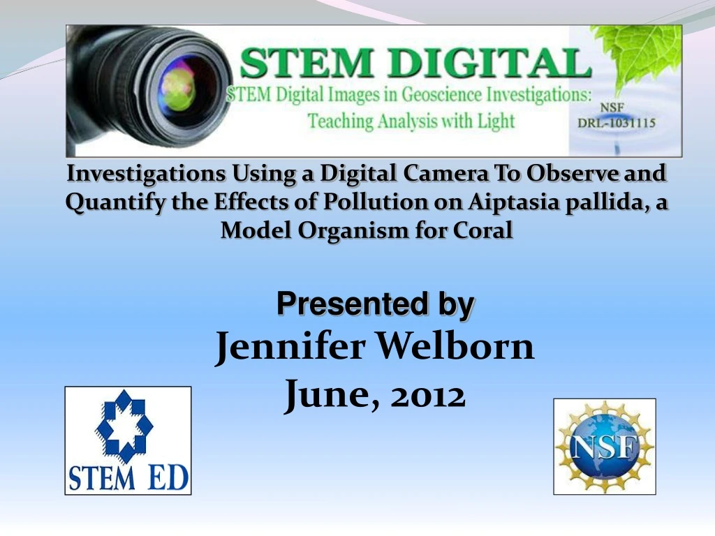 investigations using a digital camera to observe