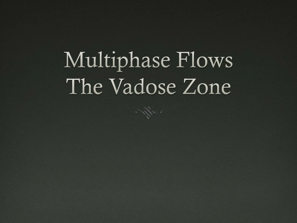 multiphase flows the vadose zone
