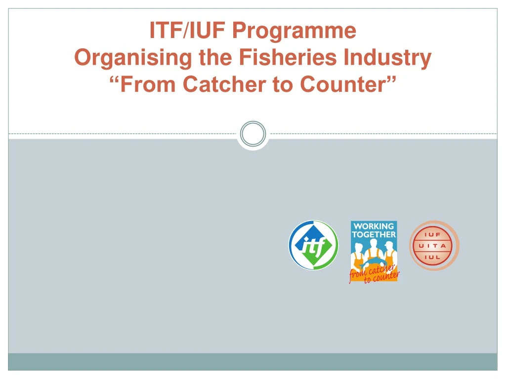 itf iuf programme organising the fisheries industry from catcher to counter