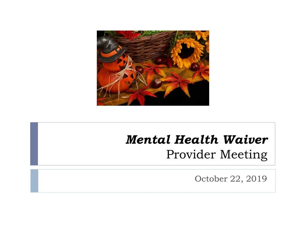 mental health waiver provider meeting