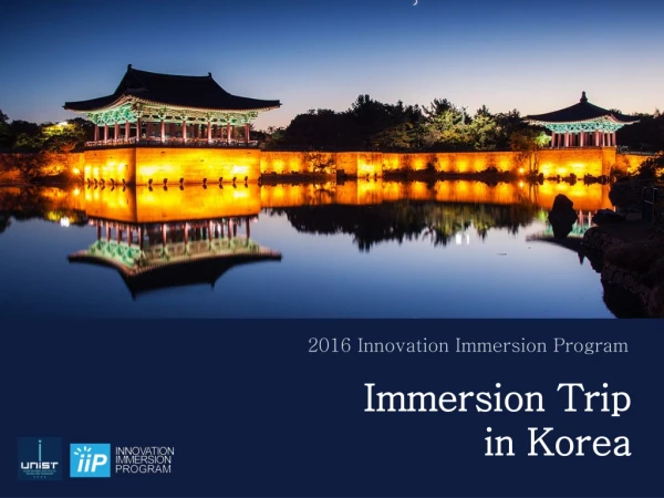 2016 Innovation Immersion Program