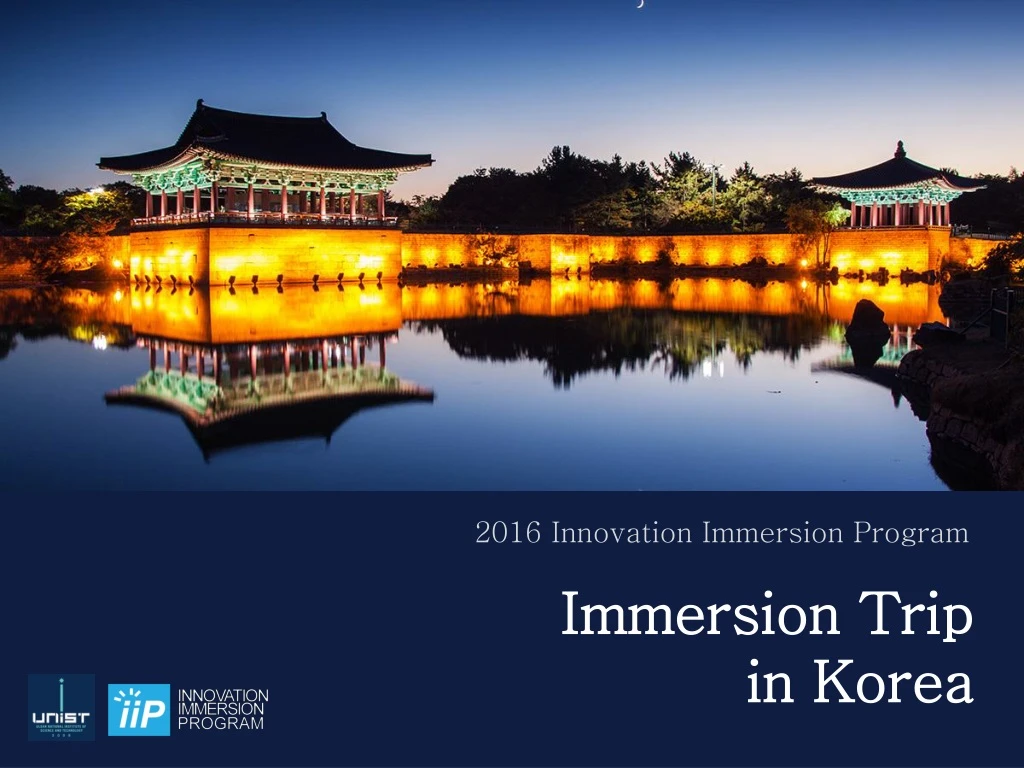 2016 innovation immersion program