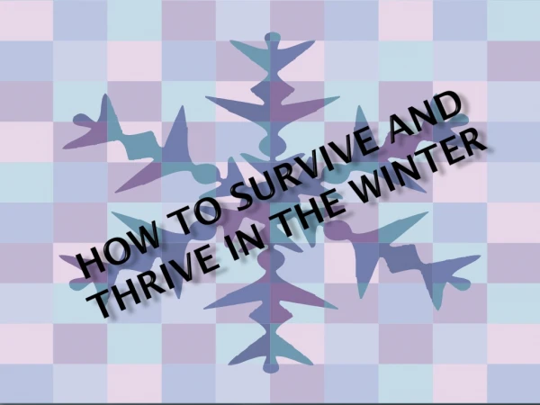 How to Survive and Thrive in the Winter