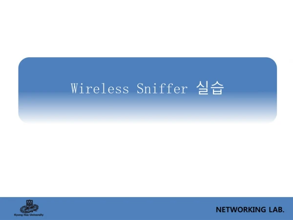 Wireless Sniffer 실습