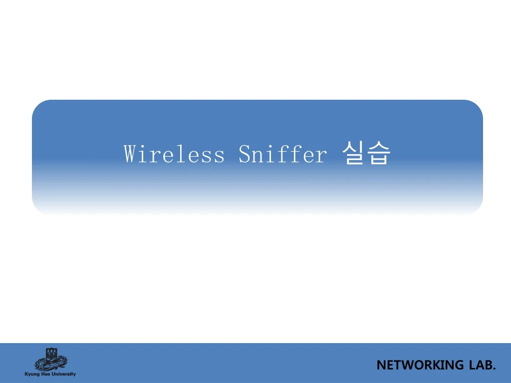 wireless sniffer