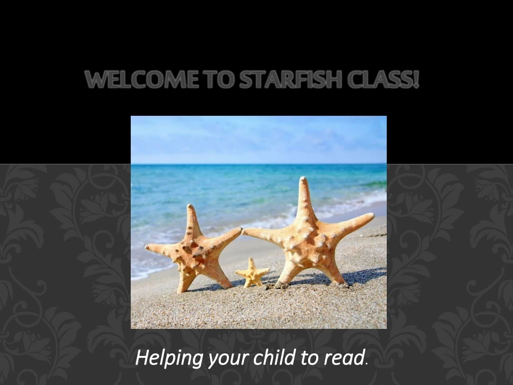 welcome to starfish class