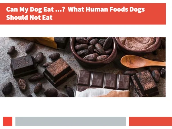 Can My Dog Eat …? What Human Foods Dogs Should Not Eat