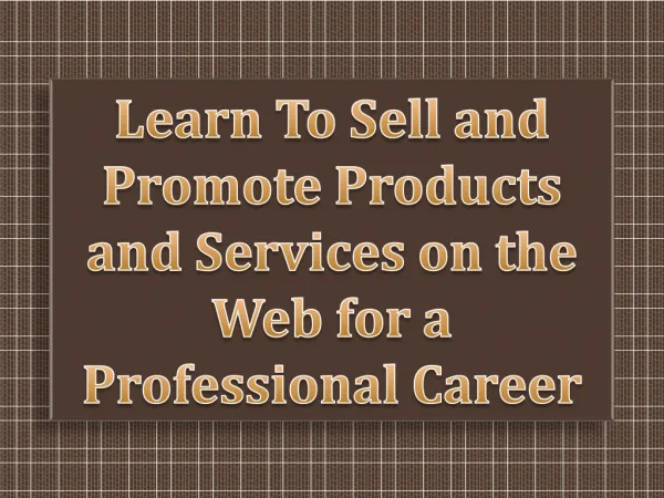 Learn To Sell and Promote Products and Services on the Web