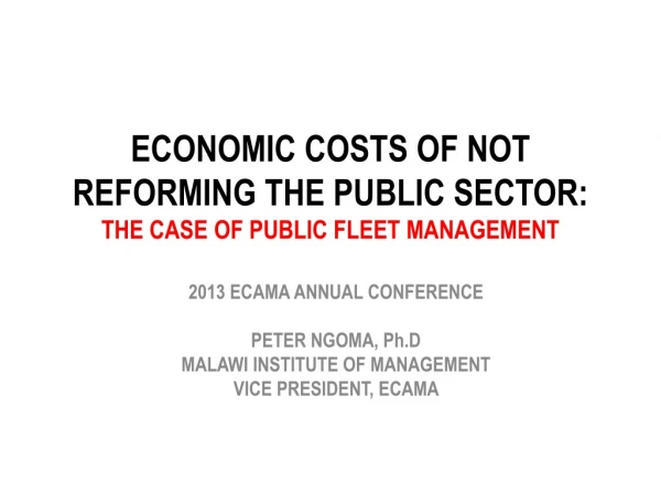 ECONOMIC COSTS OF NOT REFORMING THE PUBLIC SECTOR: THE CASE OF PUBLIC FLEET MANAGEMENT