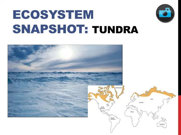 Ecosystem Snapshot: TUndra