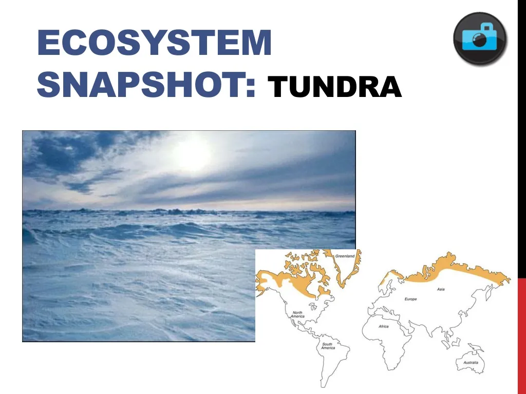 ecosystem snapshot tundra