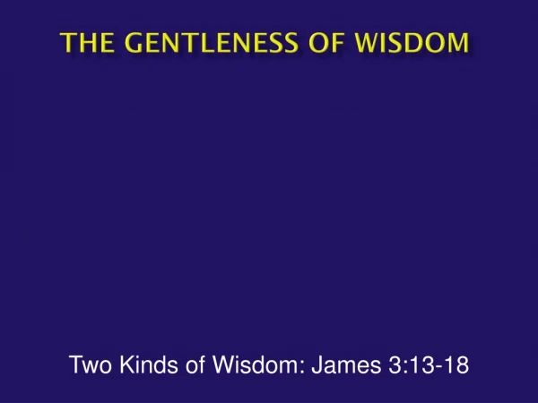 The Gentleness of Wisdom