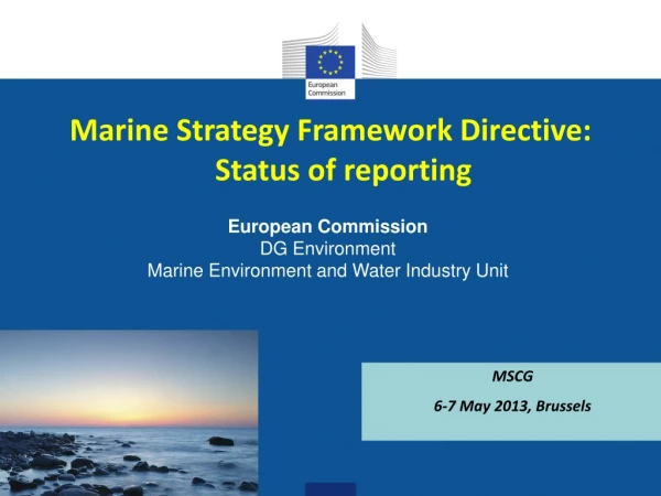 Marine Strategy Framework Directive: Status of reporting