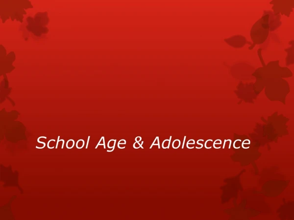 School Age &amp; Adolescence