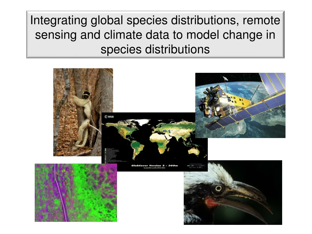 integrating global species distributions remote