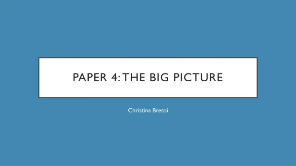 Paper 4: The Big Picture