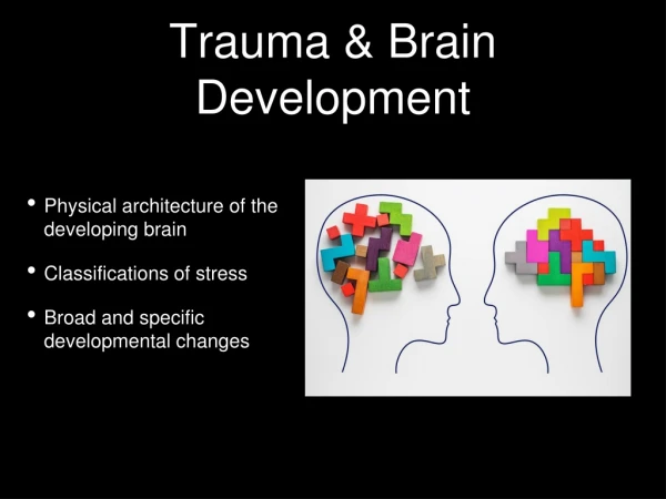 Trauma &amp; Brain Development