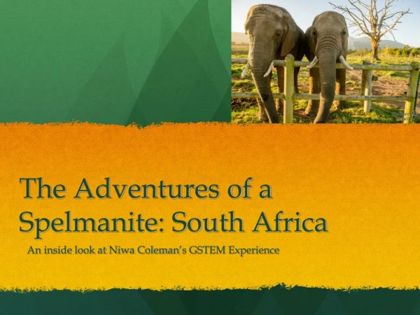 The Adventures of a Spelmanite: South Africa