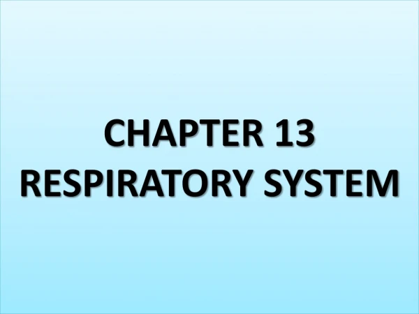 CHAPTER 13 RESPIRATORY SYSTEM