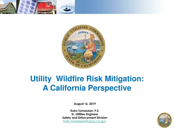 Utility Wildfire Risk Mitigation: A California Perspective