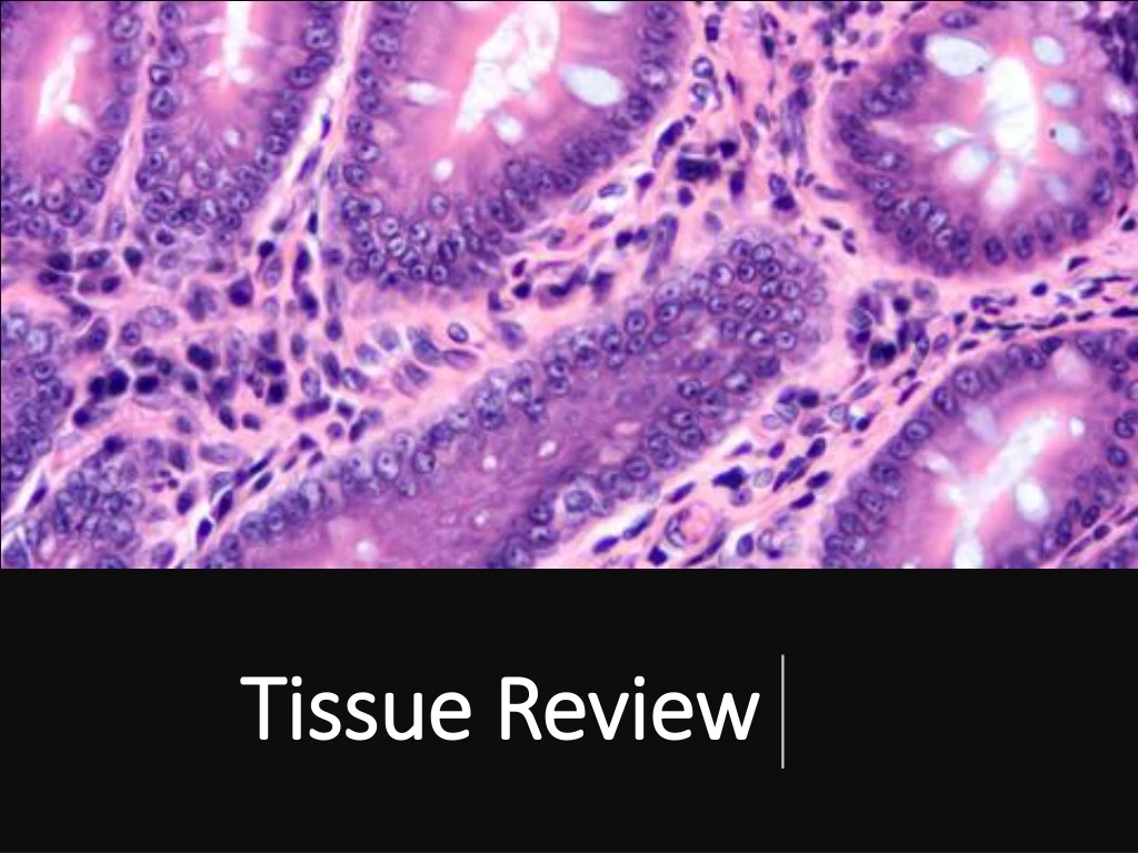 tissue review