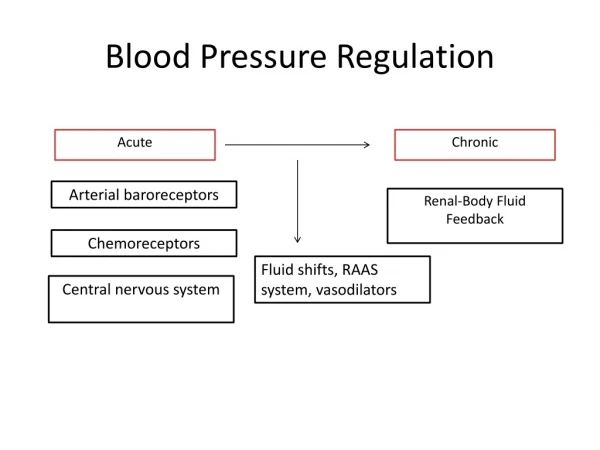Blood Pressure Regulation