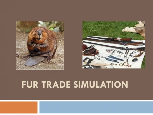 Fur Trade Simulation