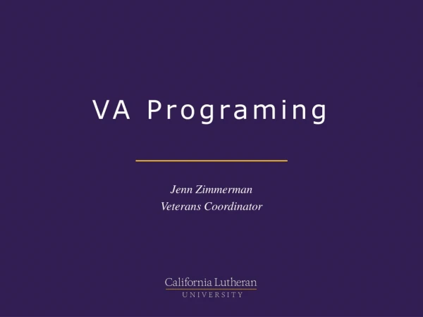 VA Programing