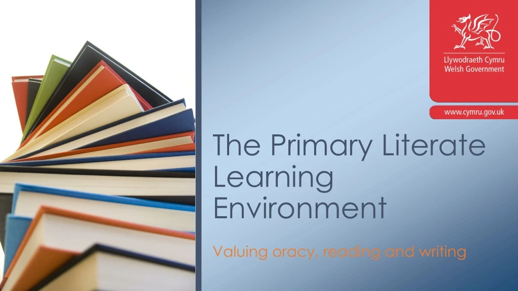 the primary literate learning environment