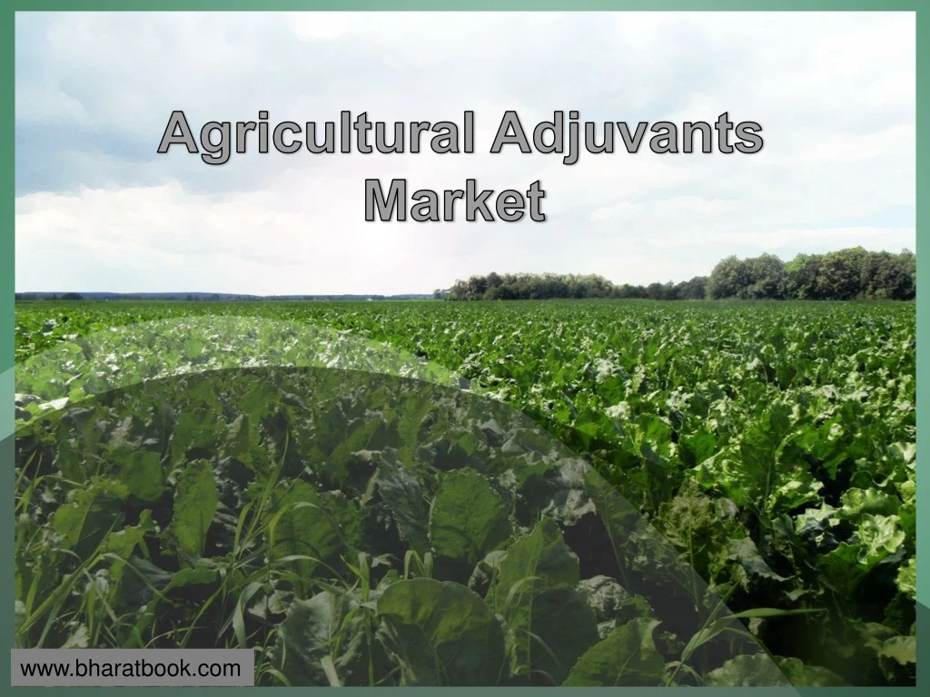 agricultural adjuvants market