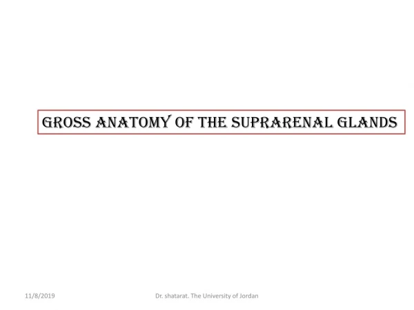 Gross Anatomy of the suprarenal glands
