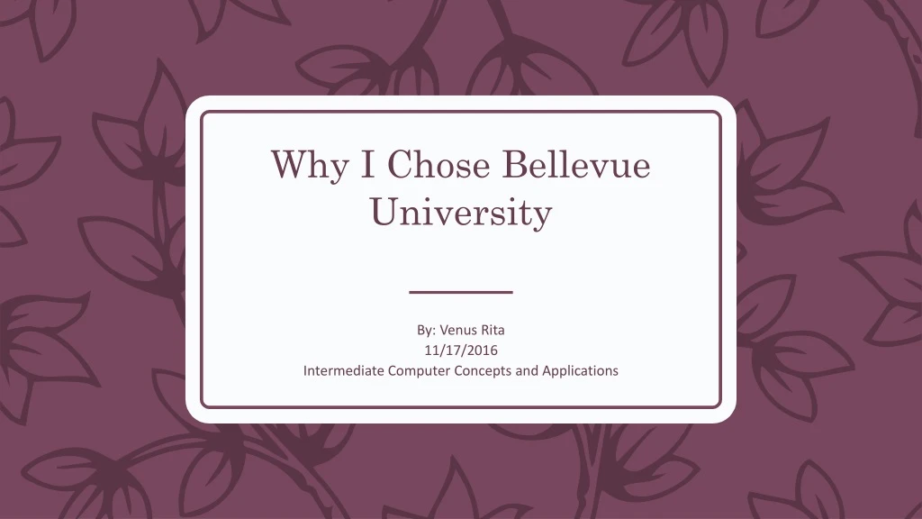 why i chose bellevue university