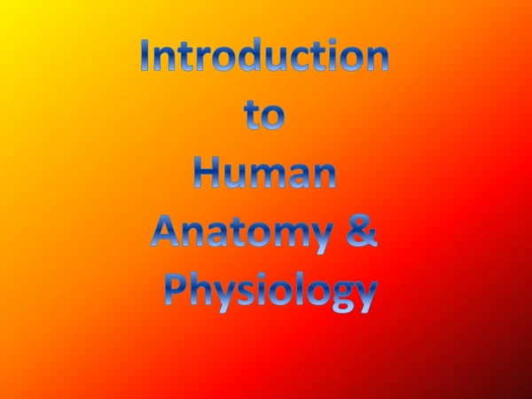 Introduction to Human Anatomy &amp; Physiology