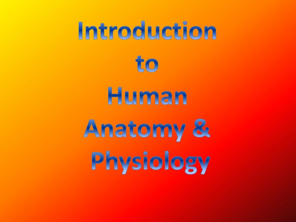 introduction to human anatomy physiology