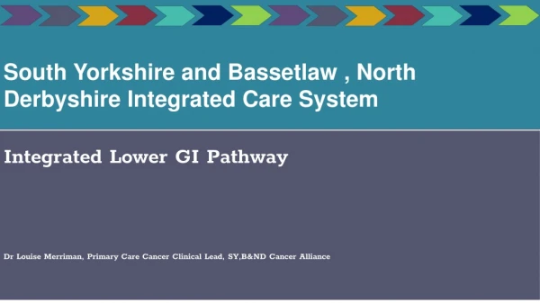 South Yorkshire and Bassetlaw , North Derbyshire Integrated Care System