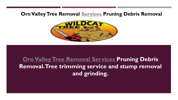 Oro Valley Tree Removal Services Pruning Debris Removal