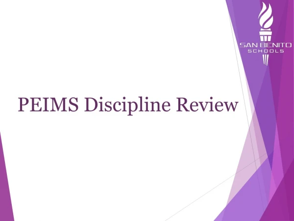 PEIMS Discipline Review