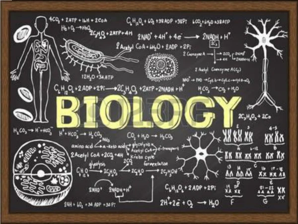 'O' AND 'A' LEVEL BIOLOGY TUITION SINGAPORE