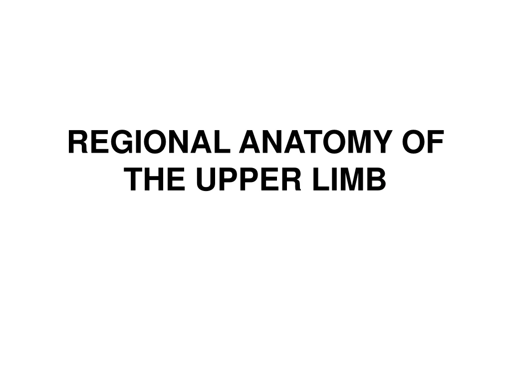 regional anatomy of the upper limb
