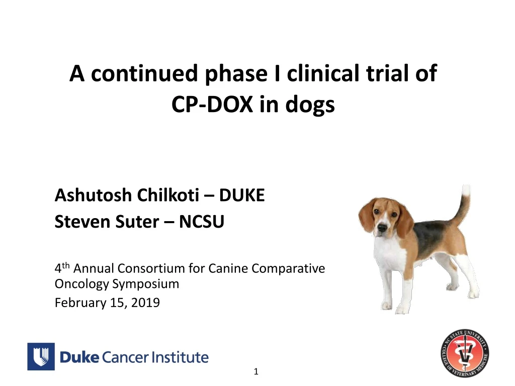 a continued phase i clinical trial of cp dox in dogs