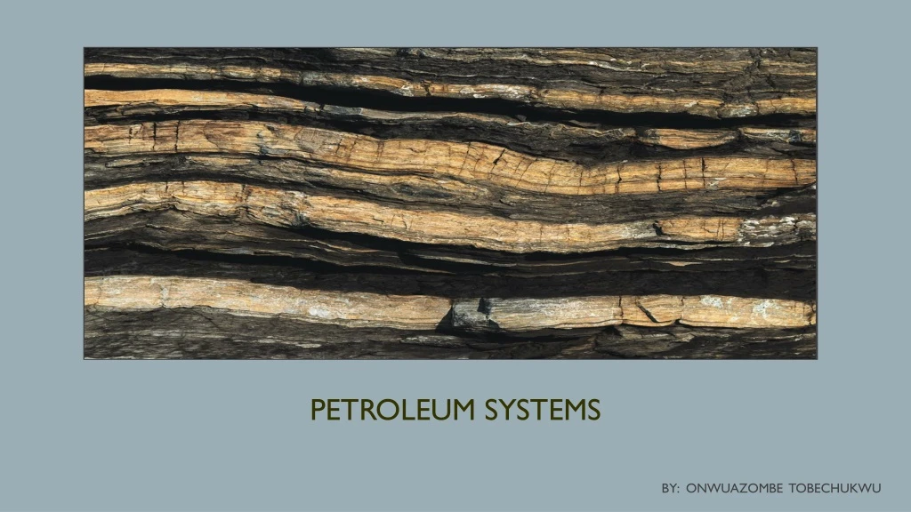 petroleum systems