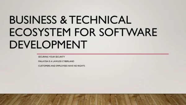 Business &amp; Technical Ecosystem for Software Development