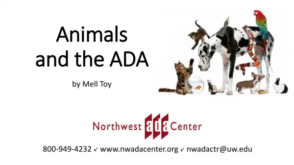 Animals and the ADA