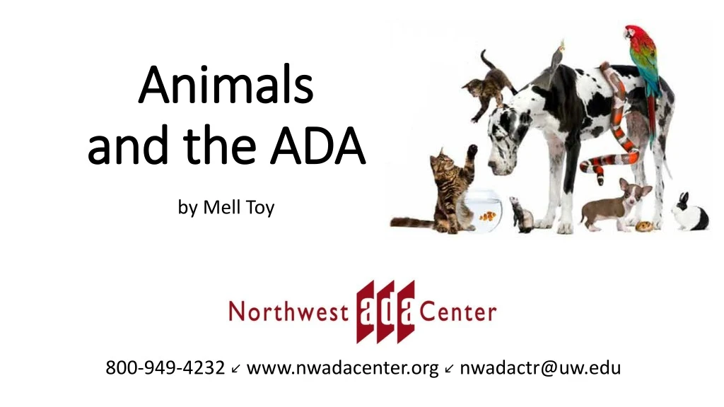 animals and the ada